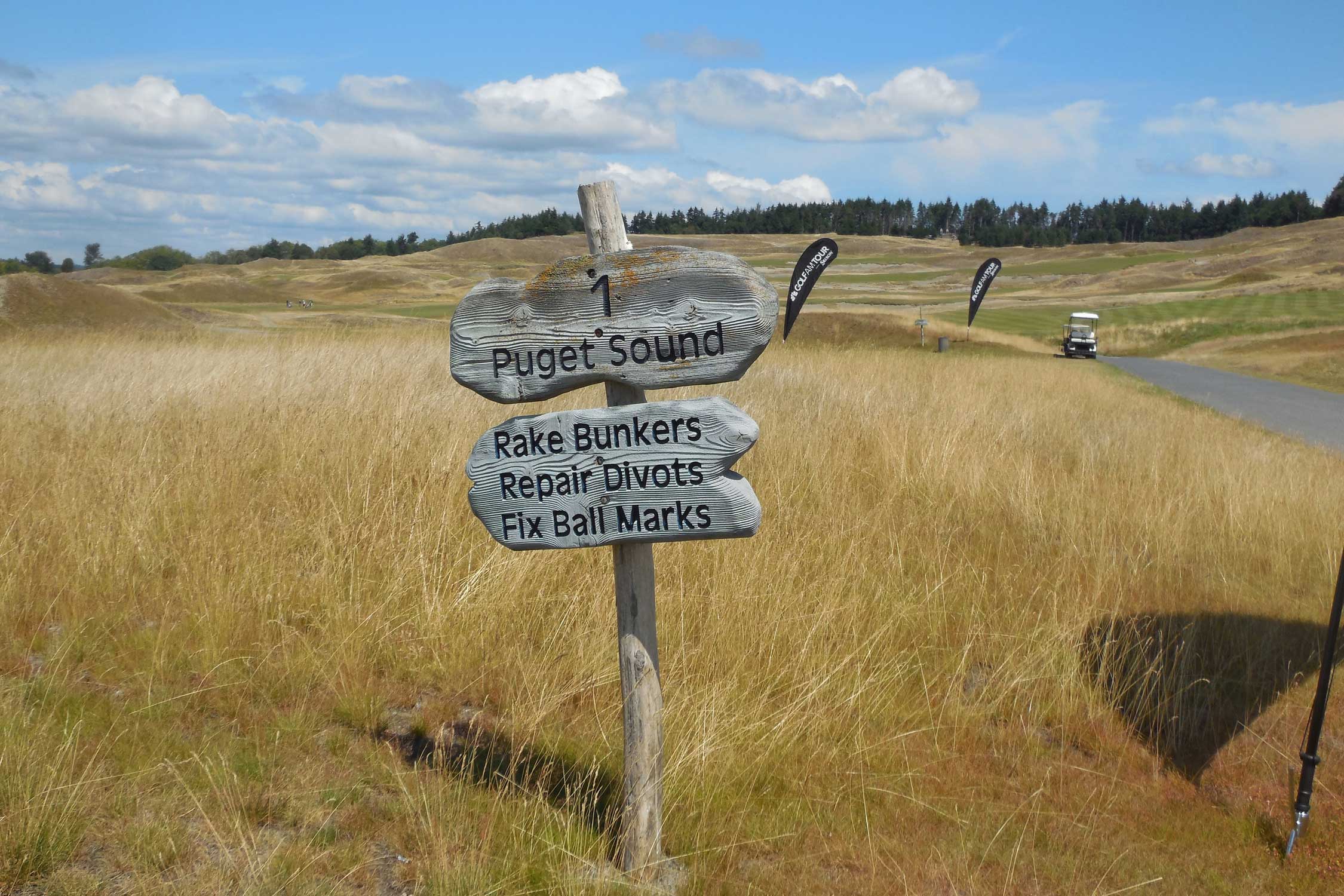 Chambers Bay July 2016