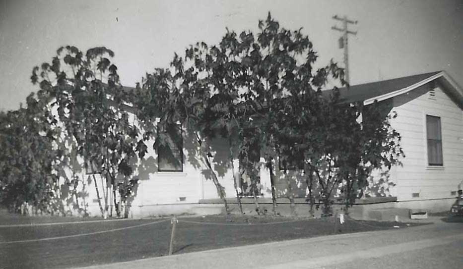 Golden Gate Home Backyard