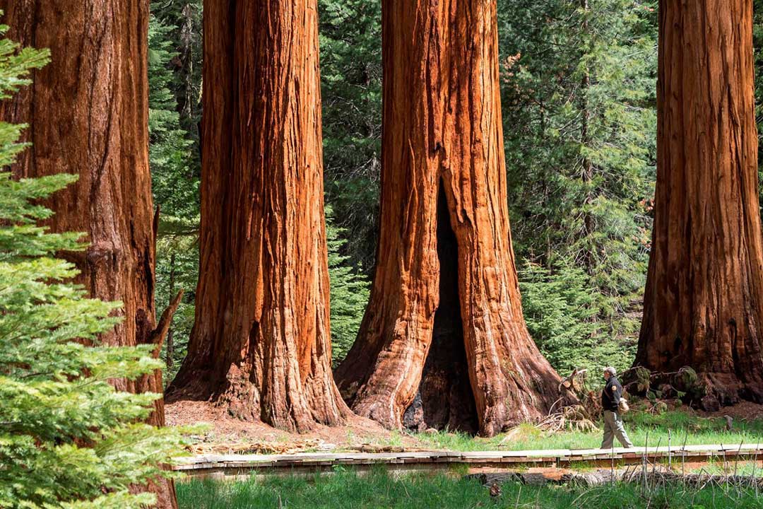 Road Trip Home June 2025