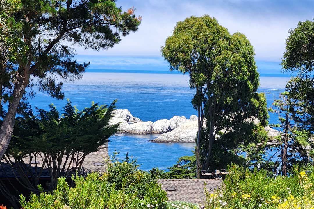 Paso Robles / Carmel just Liz and Me July 2025