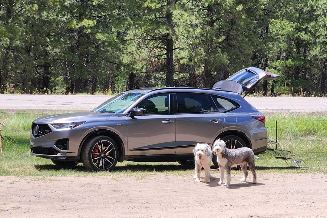 Road Trip to Chicago June 2025