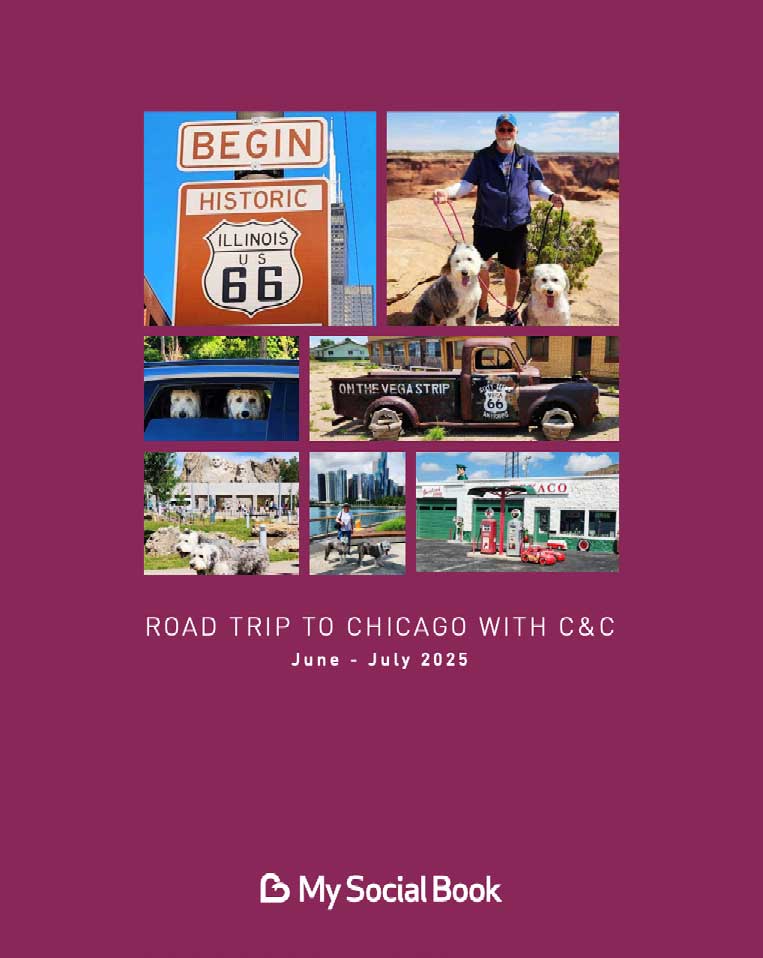 Road Trip to Chicago With C&C