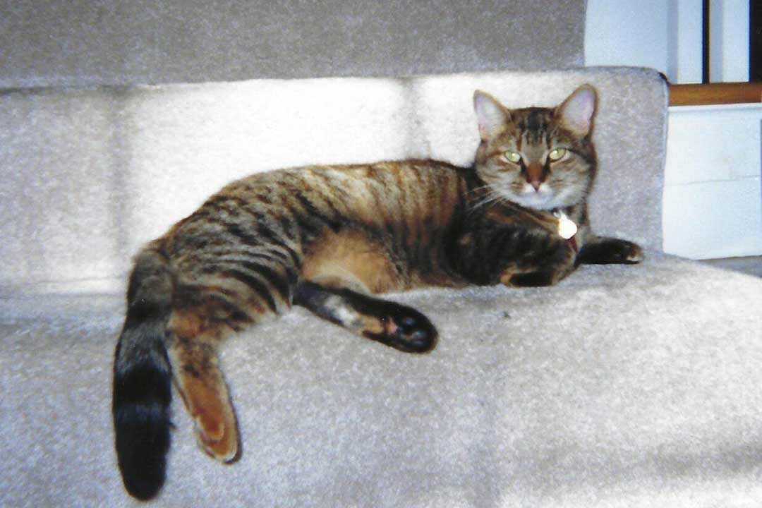 Boots & Tabby December 1999