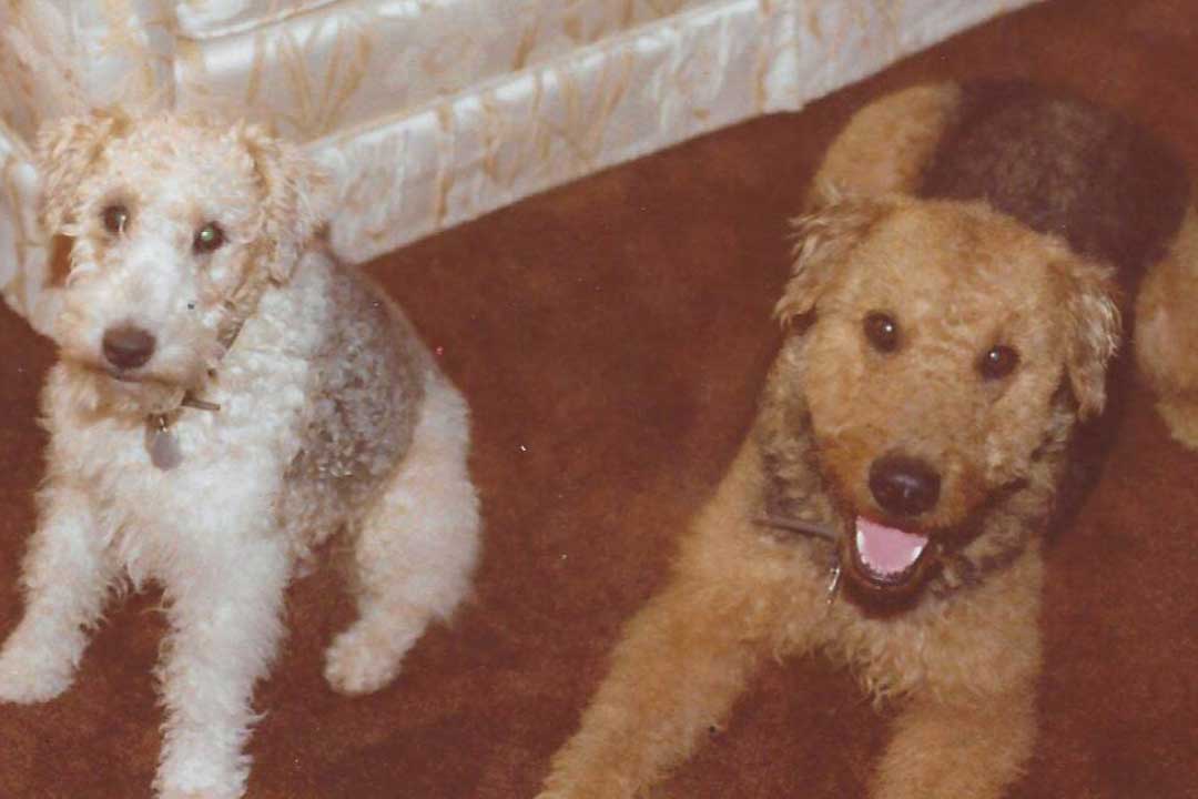 Grover & Sammy January 1980