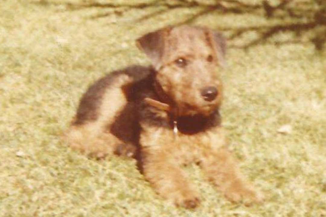 Baby Grover April 1978