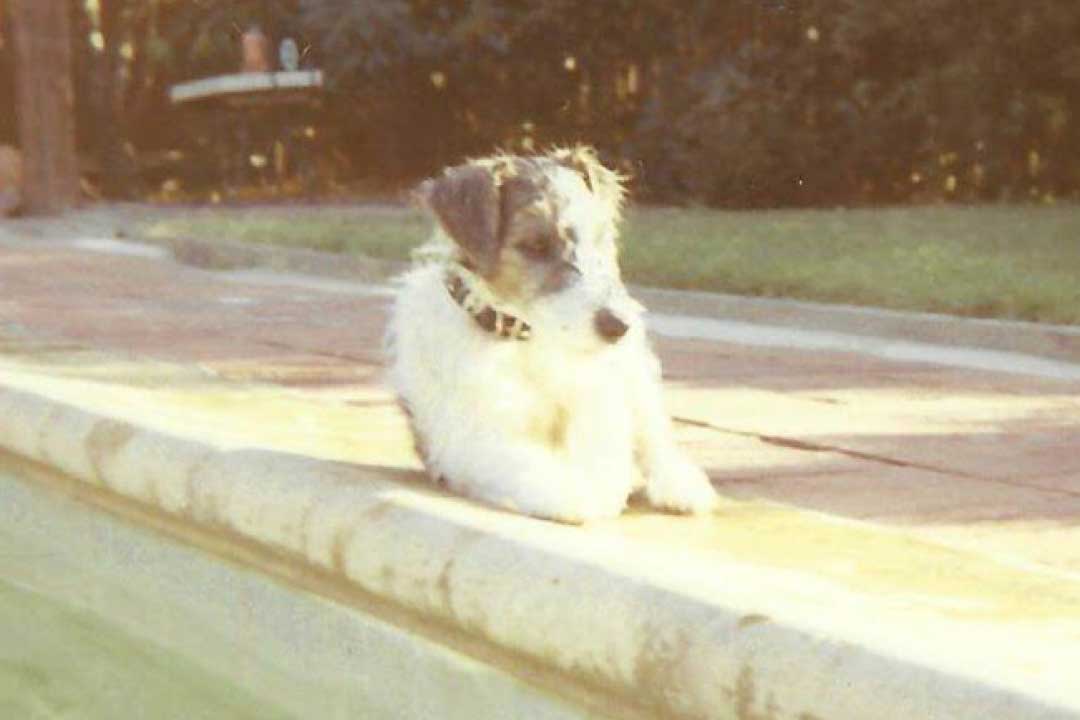 Baby Sammy August 1971