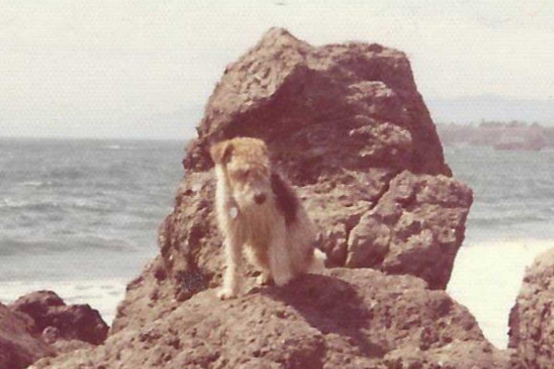 Sammy to Mendocino June 1972