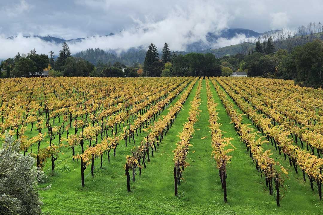 San Francisco, Napa, Chico, Dos Palos November 2025