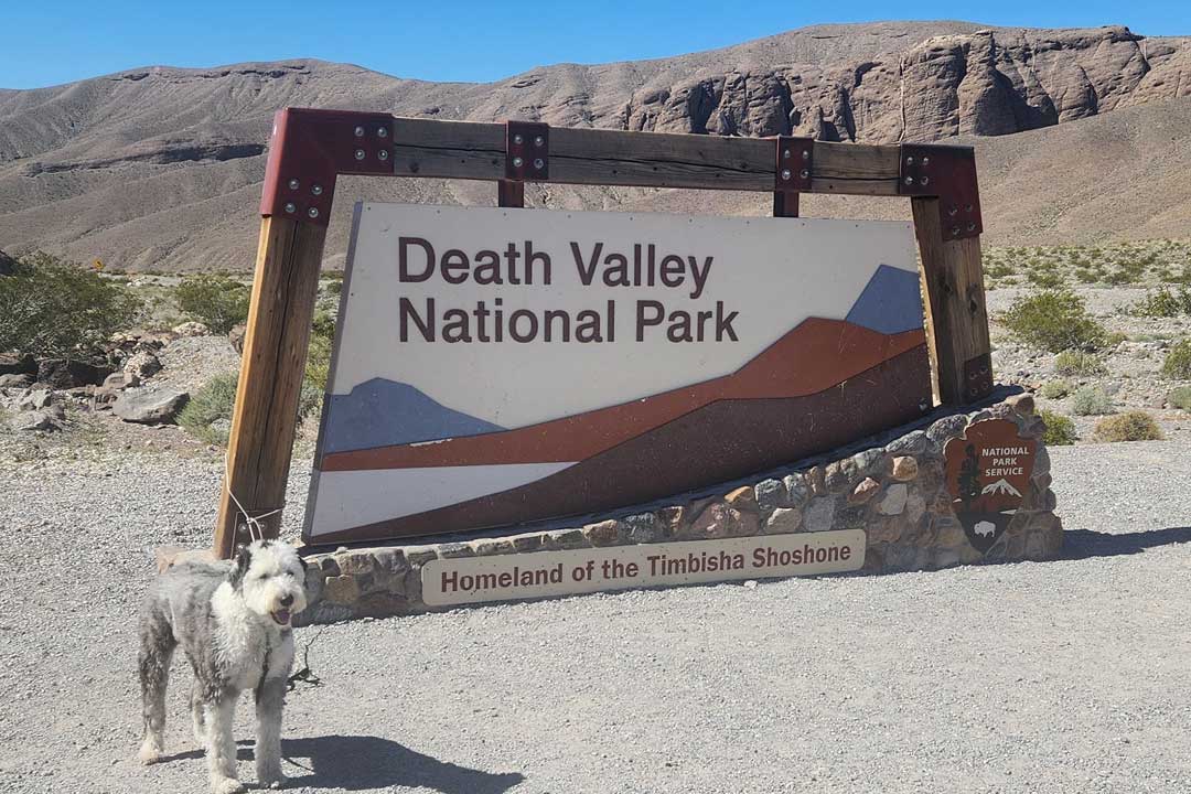 Road Trip With Cara - March 2026