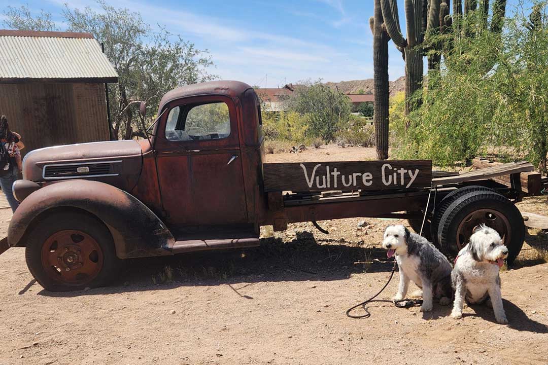 Southern Arizona Roadtrip with C and C - April 2026